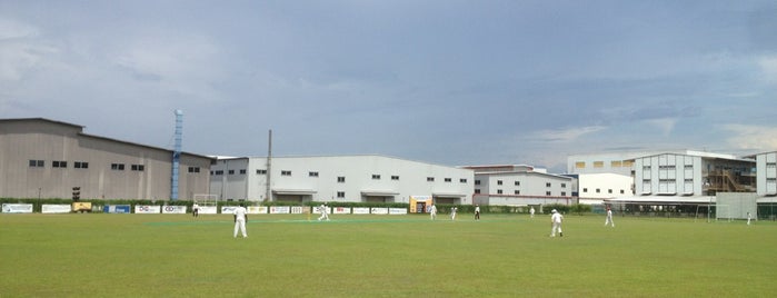 Yorker Ground is one of Cricket.