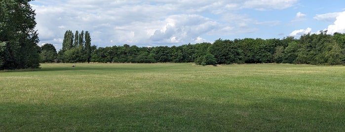 Moneyhole Lane Playing Fields is one of Welwyn Garden City.