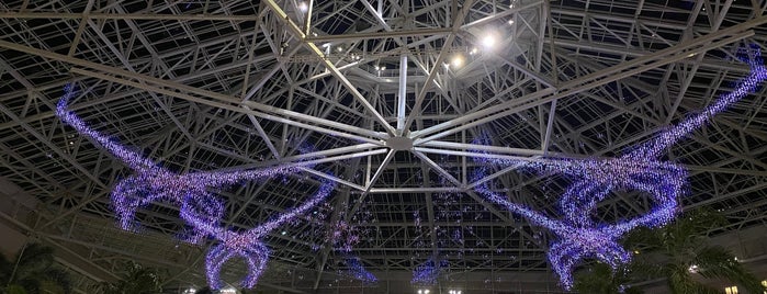 Gaylord Palms Resort & Convention Center is one of Liked Places.