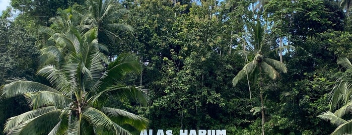 Alas Harum Bali - Rice Terrace is one of Ebru 2.