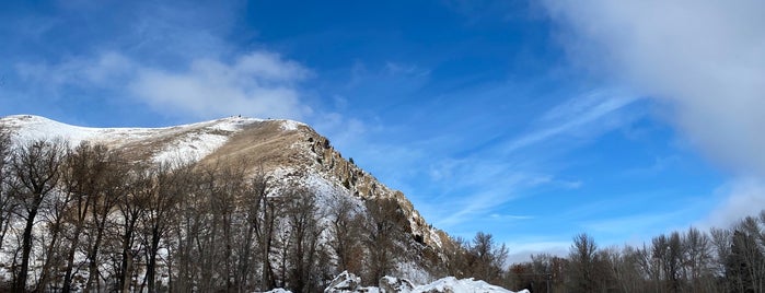 Lions Park is one of Best of Sun Valley.