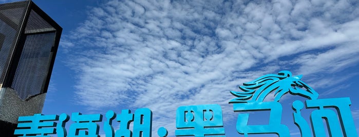 Qinghai Lake is one of Dan: сохраненные места.