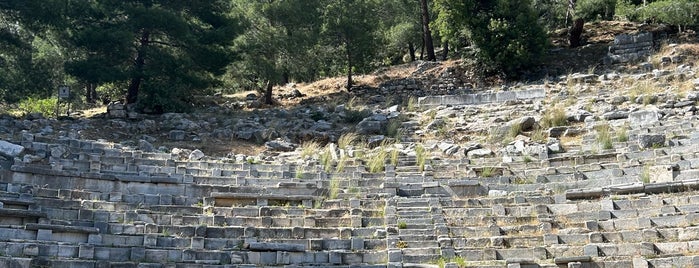 Priene Antik Kenti is one of Efes & Kuşadası & Didim.