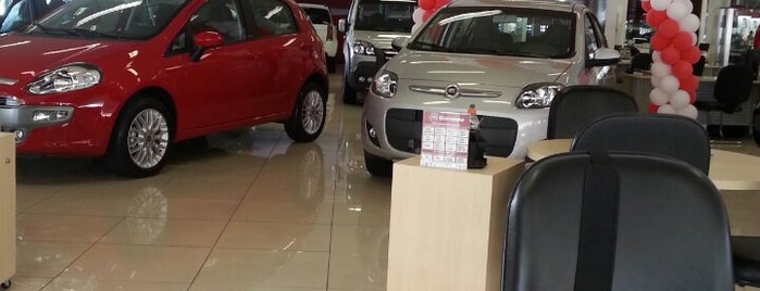 Fiat Itavema is one of Dealers.