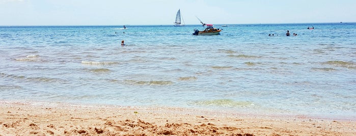 Blairgowrie Beach is one of Geoffreyさんのお気に入りスポット.