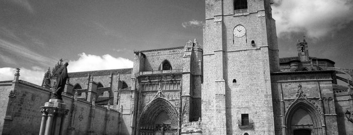 Catedral de Palencia is one of Catedrales de España / Cathedrals of Spain.