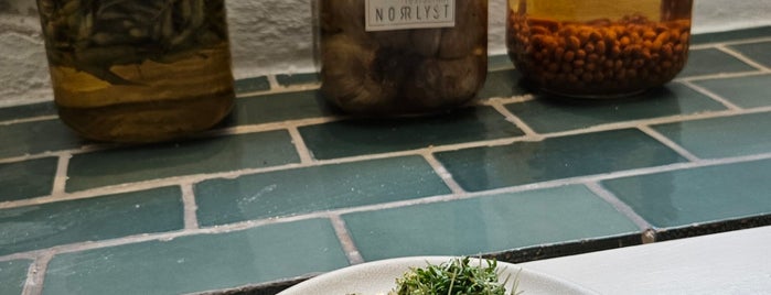 Norrlyst is one of CPH Gourmet_food_delights.