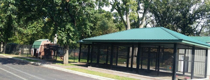 Ramsey Park Zoo/ Lower Shelter is one of Top 5 favorites places in Redwood Falls.
