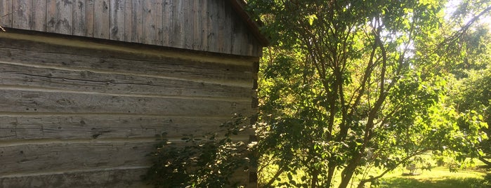 Scadding Cabin is one of 2013 buildings.