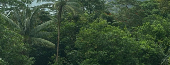 Ho‘omaluhia Botanical Garden is one of Oahu.