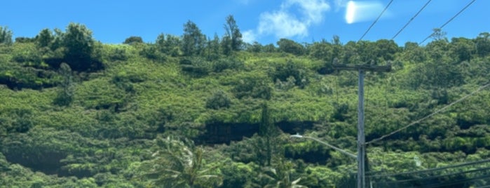 Waimea Valley Adventure Park is one of Oahu Hot Spots.