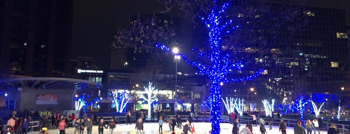 Rosa Parks Ice Rink is one of Parks/Outdoor Spaces in GR.