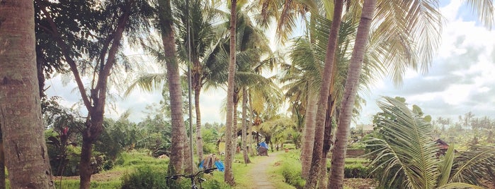 Rice Field Ubud Village is one of Bali e Gili Trawangan.
