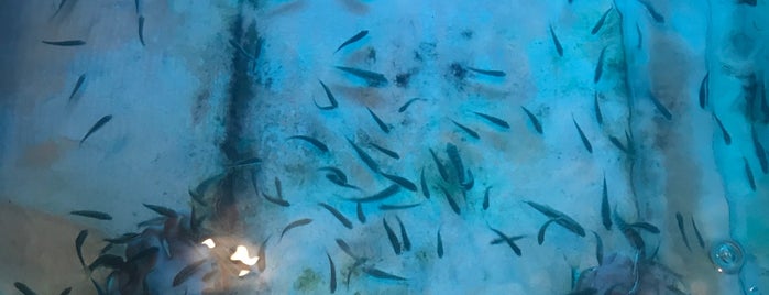 Doctor Fish is one of Thailand Spots.