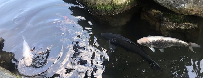 庄川水記念公園ウッドプラザ 足湯 is one of 🙏.