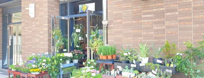 Florist ITO is one of そうだ、ドラマ「最高の離婚」ロケ地へ行こう。.