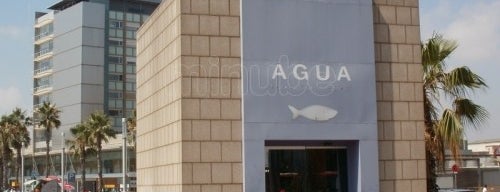 Restaurant Agua is one of EBarceloning, the best RESTAURANTS in Barcelona.