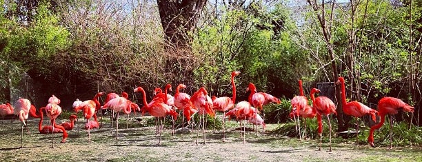 Ménagerie du Jardin des Plantes is one of France.