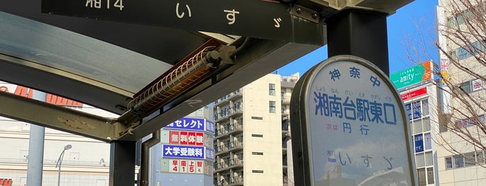 湘南台駅東口ロータリー is one of 周辺地域.