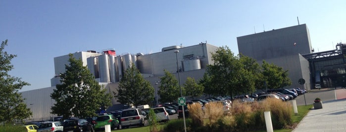 Müller Dairy Factory is one of Dresden.