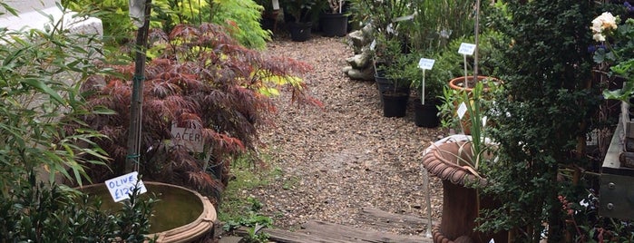 The Kew Gardener is one of Mashail : понравившиеся места.