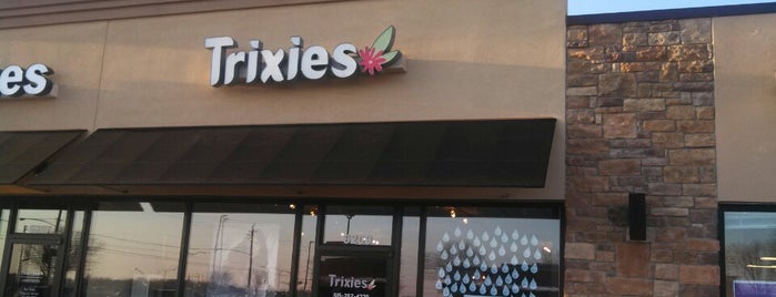 Trixie's Salon is one of สถานที่ที่ Chris ถูกใจ.