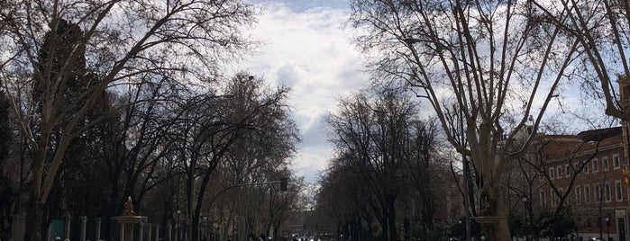 Paseo del Prado is one of Madrid.  España.