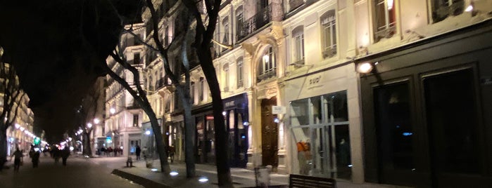 Rue de la République is one of lyonnaise potatoes.