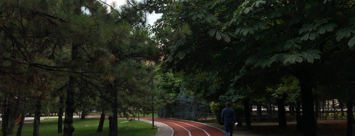 Demetevler Parkı is one of Bireysel Ağaçlan.