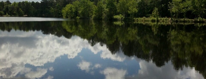 Diamond Lakes Recreation Park-Fishing