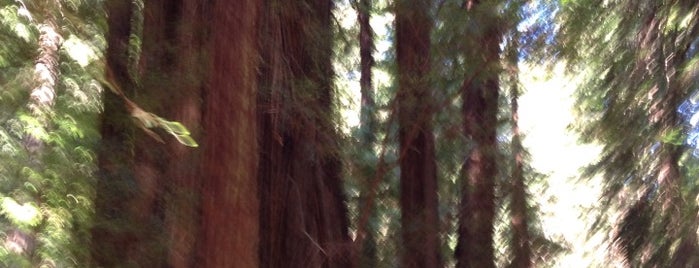 Muir Woods National Monument is one of The great outdoors.