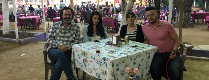 Sümerler Aile Çay Bahçesi is one of Ben Yeni Bmw Türkiye Araba Alacam 2015.