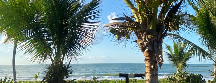 Praia de Genipabu is one of Sauipe.