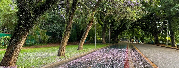 Portão 8 is one of São Paulo.