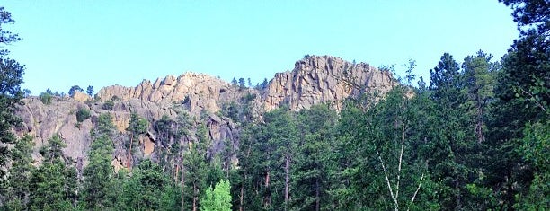 Black Hills National Forest is one of Rapid City, SD.