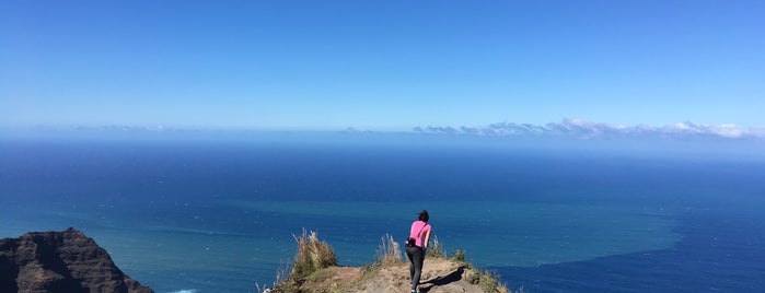 Awa-'awapuhi Trail is one of Cool Places to Visit.