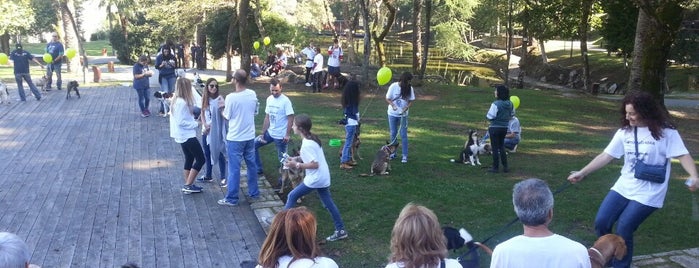 Parque de S. João da Ponte is one of Braga Guitarraes Portugal.
