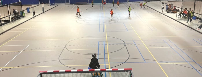 Indoor-Sportcentrum Eindhoven is one of Top visits Sports.
