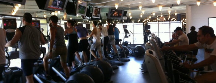Gay golds gym san francisco