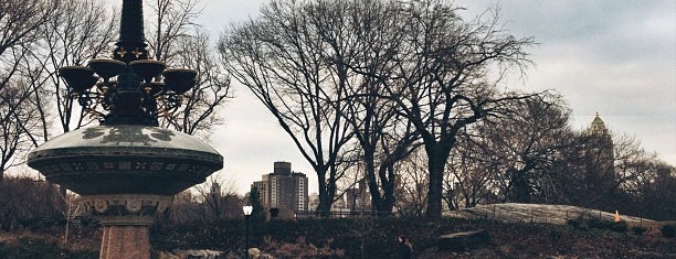 Central Park is one of Best Things to do in New York When it Snows.