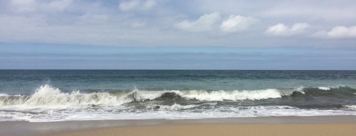 Playa Sayulita is one of Locais curtidos por Carla.