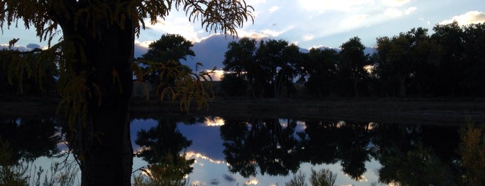 Lake Pueblo State Park is one of Matthew: сохраненные места.