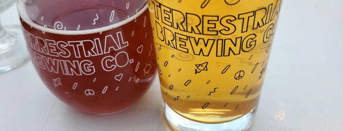 Terrestrial Brewing Company is one of Lugares favoritos de Jillian.