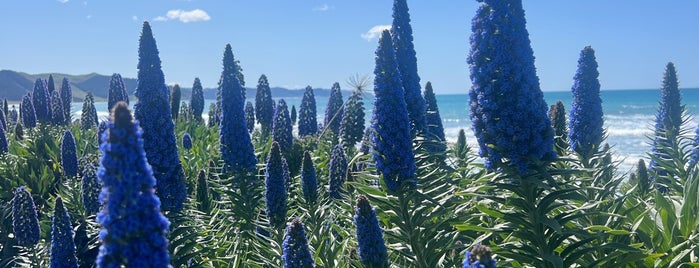 I love NZ beaches