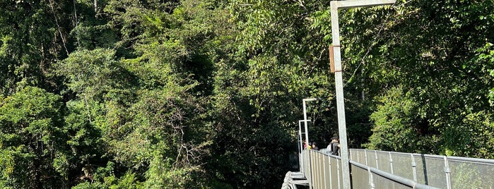 Tree Top Walk is one of Outdoors.