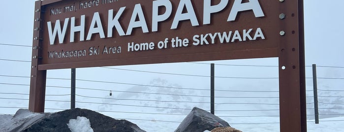 Whakapapa Skifield is one of New Zealand.