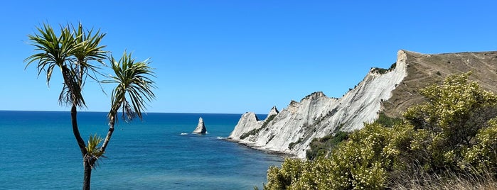 Cape Kidnappers is one of Favourite Places in Hawkes Bay.