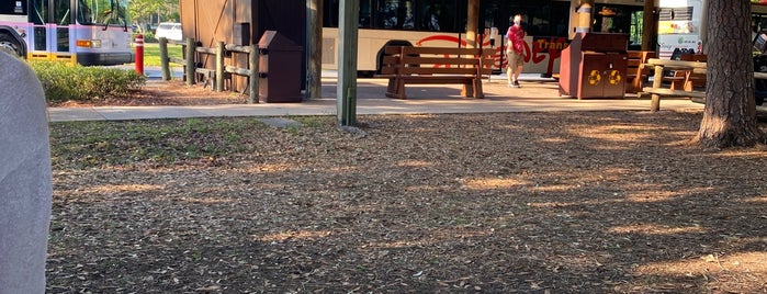 Outpost Bus Stop is one of Disney Transport.