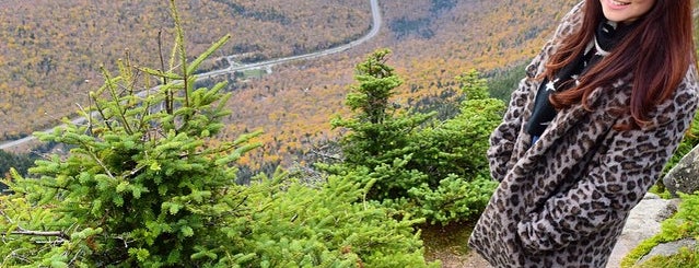 Cannon Ski Area is one of Places I ride.