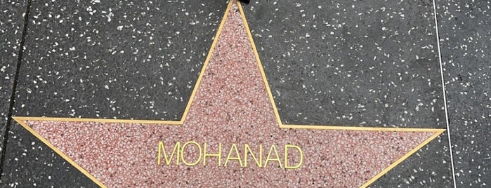 Hollywood Boulevard is one of US18: Los Angeles.